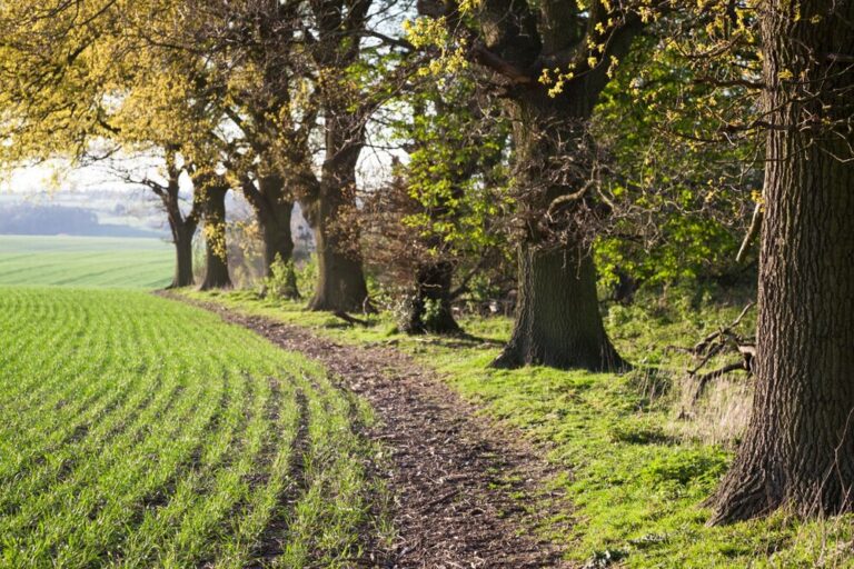 Waltham Abbey House prices near Epping Forest